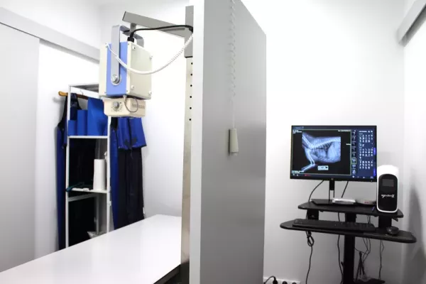 przychodnia-weterynaryjna-zwierzak-8