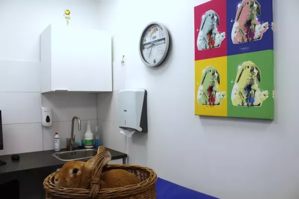 Wnętrze Przychodni Weterynaryjnej Zwierzak