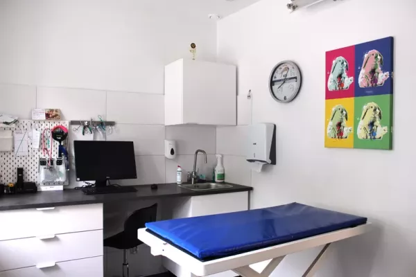 Gabinet konsultacyjny w Przychodni Weterynaryjnej Zwierzak